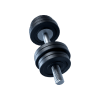 Incline Fitness Muscle Building