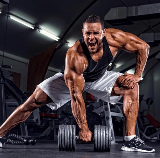 Incline Fitness About