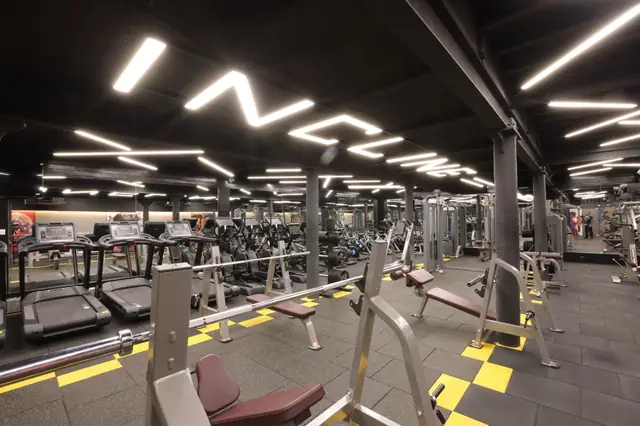 Main training floor with treadmills and strength machines - Incline Fitness, Mazgaon