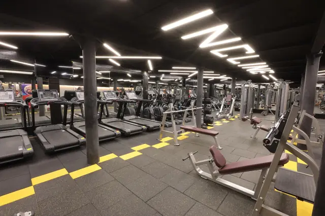 Treadmills under the Incline Fitness light sign - Incline Fitness, Mazgaon